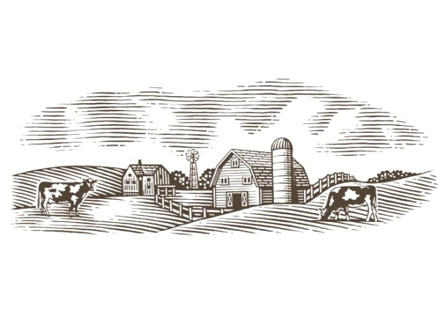 dairy farm scene